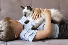 Преображая неприятности