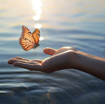 Об "окнах возможностей"