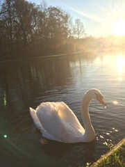 Партнерство: от нужды и от избытка.Ч.2.