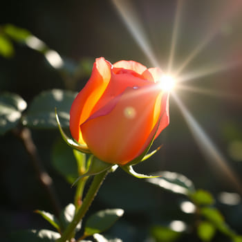 Благодарность прошлому, настоящему и будущему