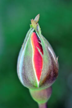 Время отпустить обиды