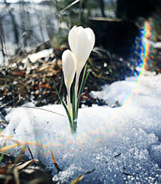 О созидательном доверии потоку жизни