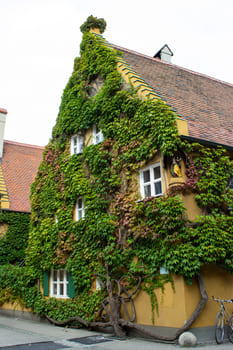 О созидательном доверии потоку жизни