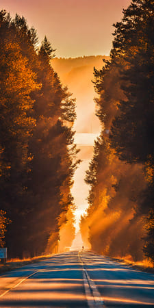 "Обнуление" на пути