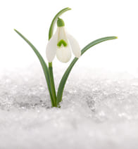 Паника ума и выбор сердца