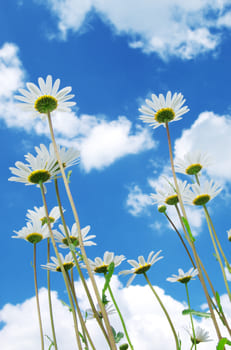 Переосознание убеждений