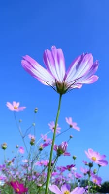 Созидание жизни через ощущения