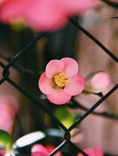 Завершение игры и доверие к происходящему