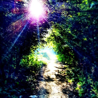 Завершение игры и доверие к происходящему