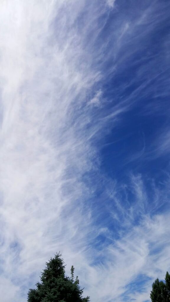 Чудо созерцания