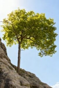 Любовь и страх. Как мы строим свою жизнь