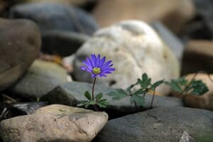 О нужности себе и другим