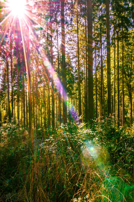 Перемены внутри и снаружи