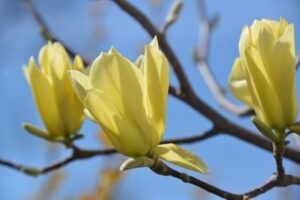 Про ожидания и совершенство