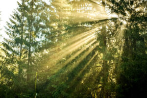 Многовариантность реальности. Выбор за Вами