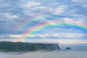 О жалости и сострадании