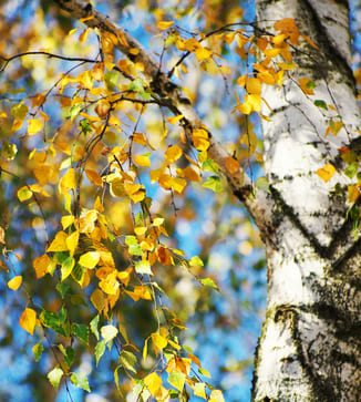 Переосознание значения денег
