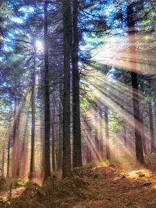 Притяжение желаемого. Нужно ли хотеть большего?