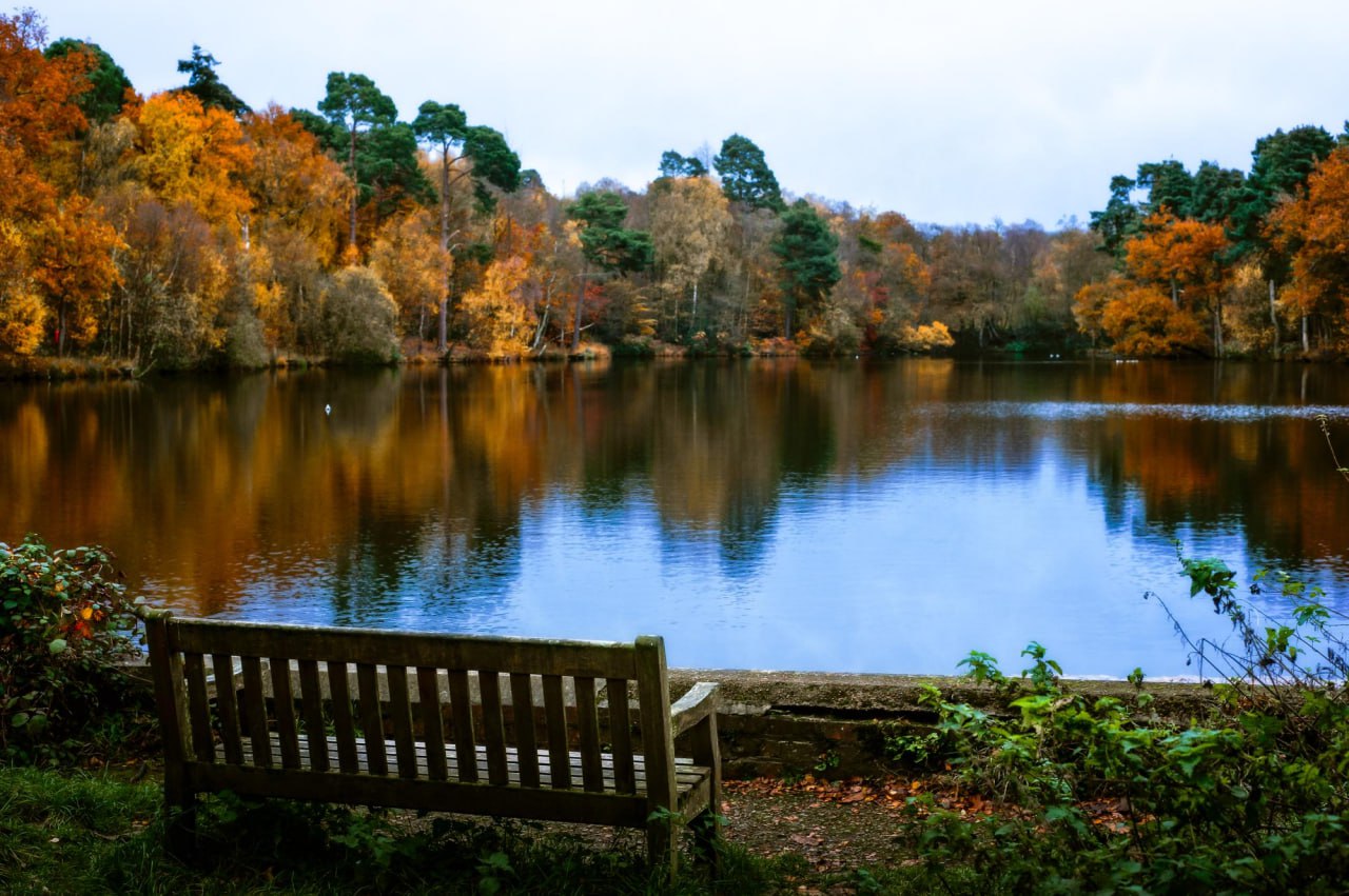 Как исцелить подростковую энергию в себе во взрослом возрасте