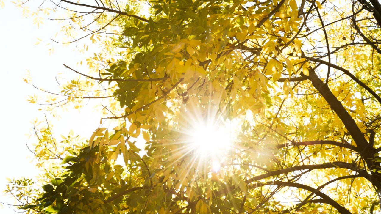 Как прийти к Душе через заботу о своем теле