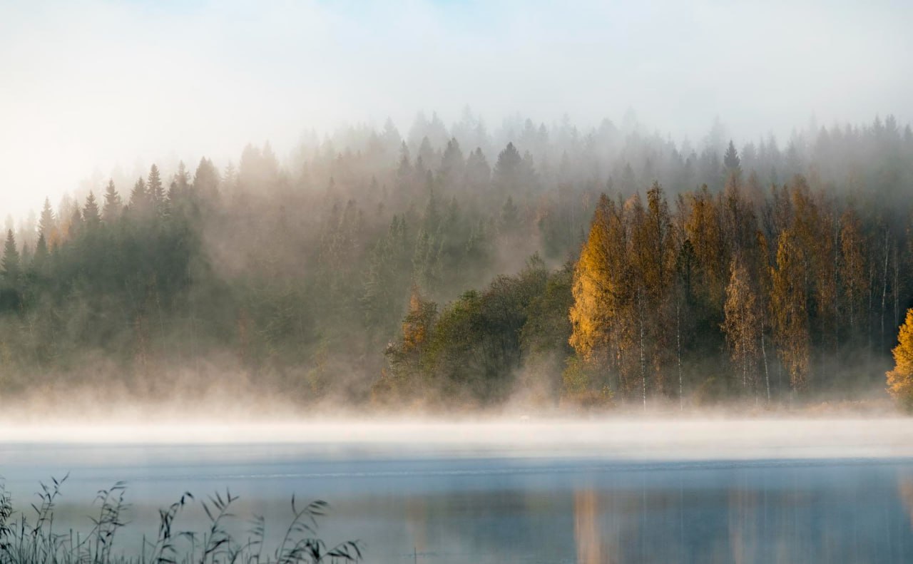 Стыд, вина, страх
