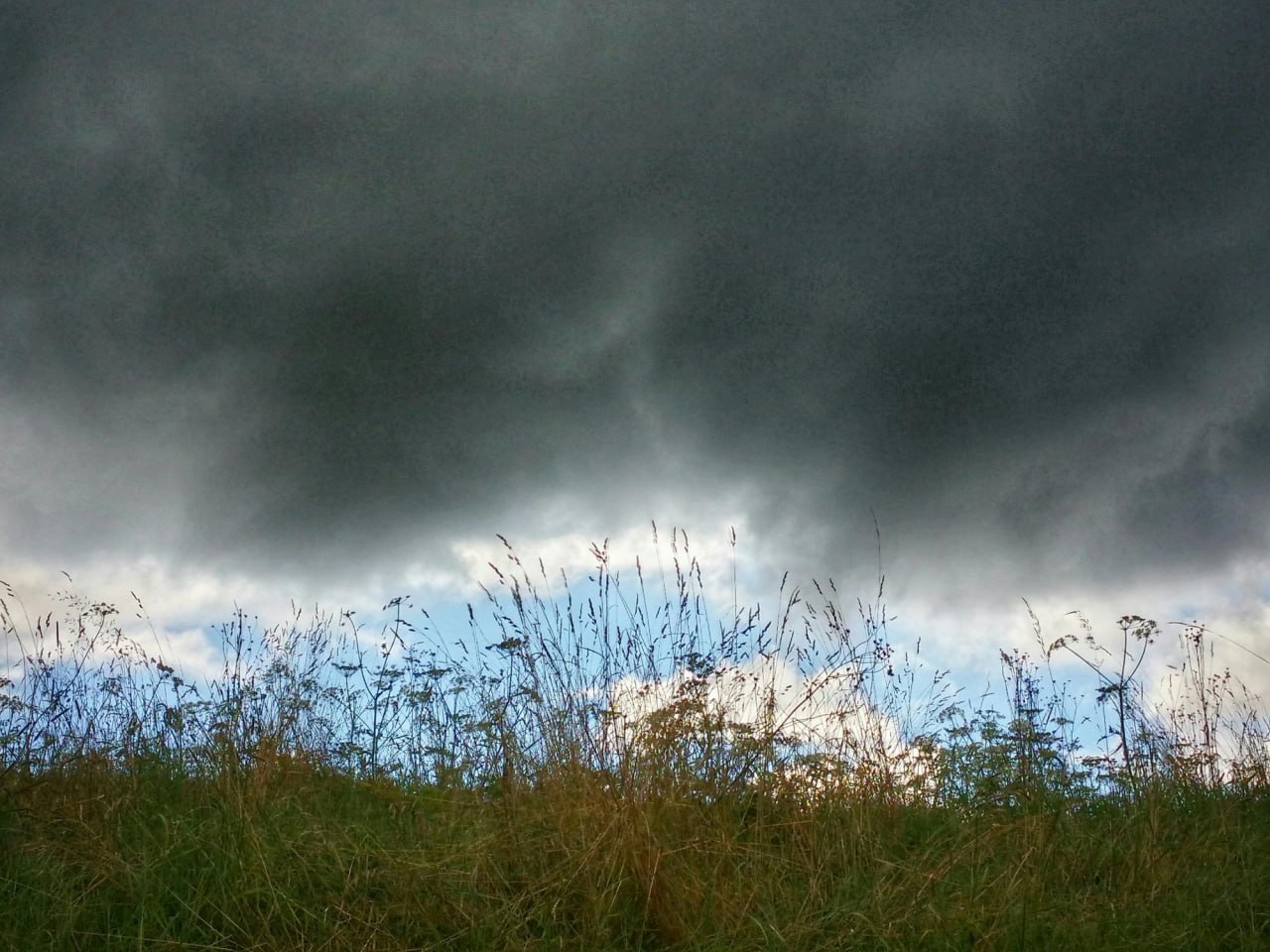 Стыд, вина, страх