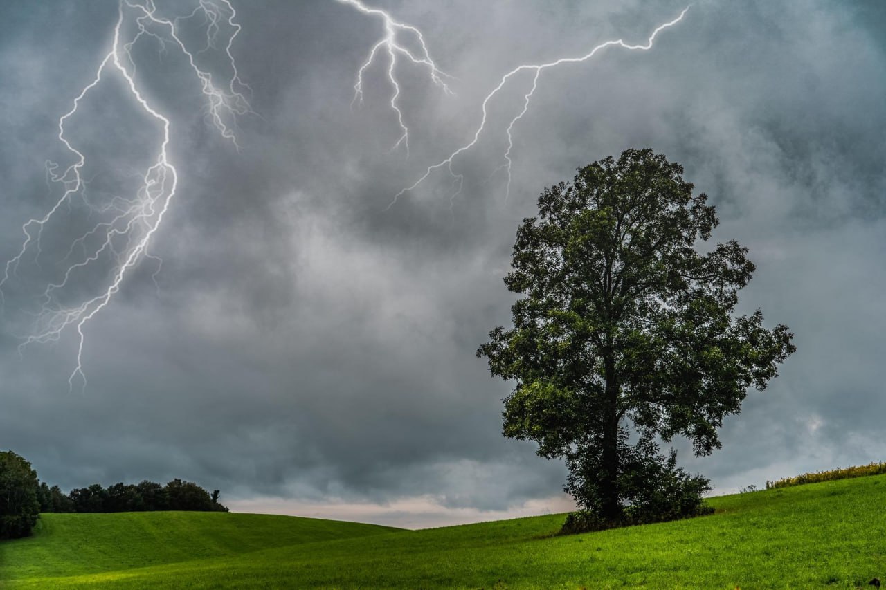 Стыд, вина, страх