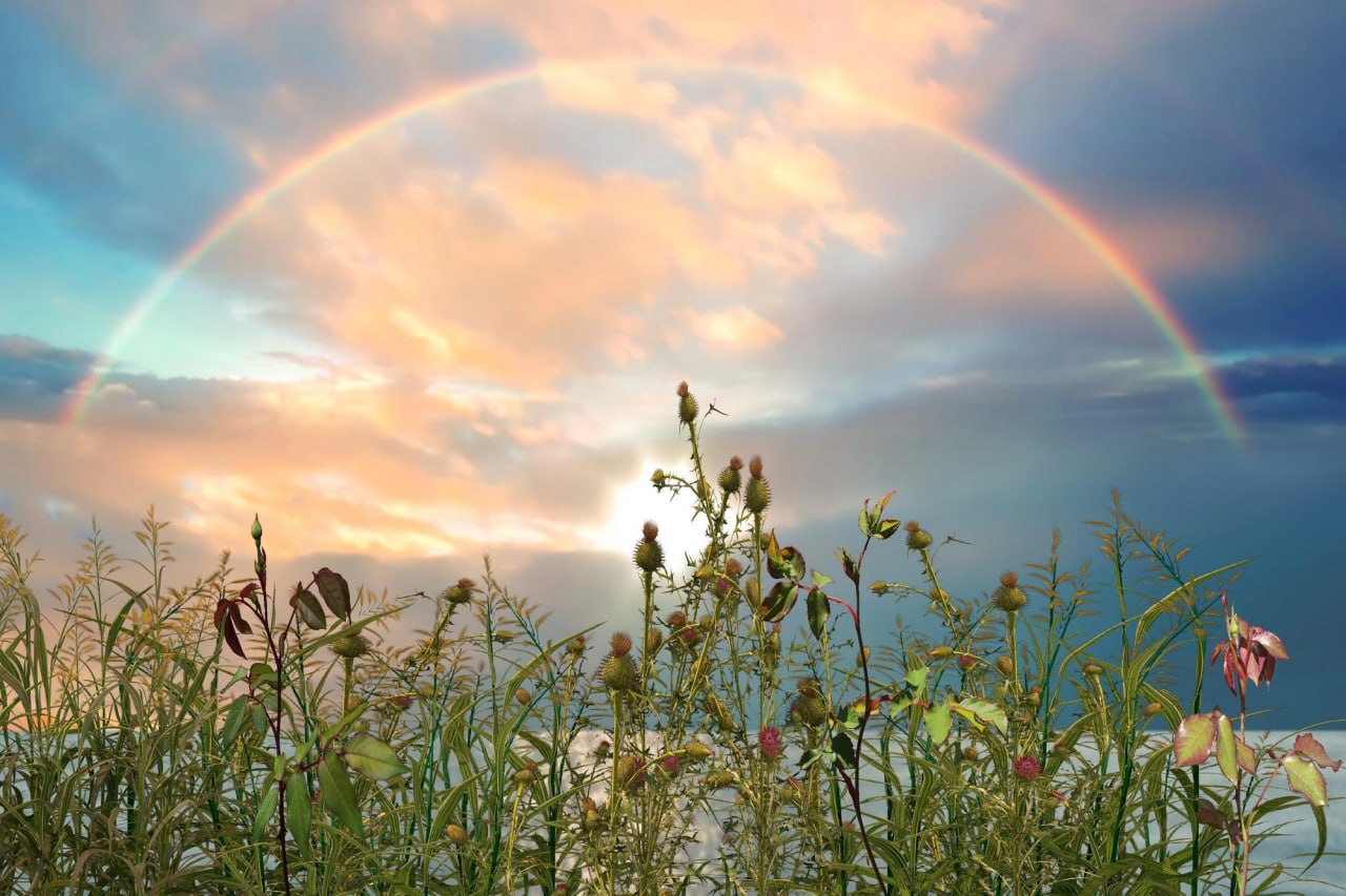 Стыд, вина, страх