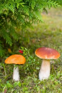 О резонансе в паре