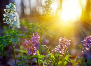 Следуя своей душе