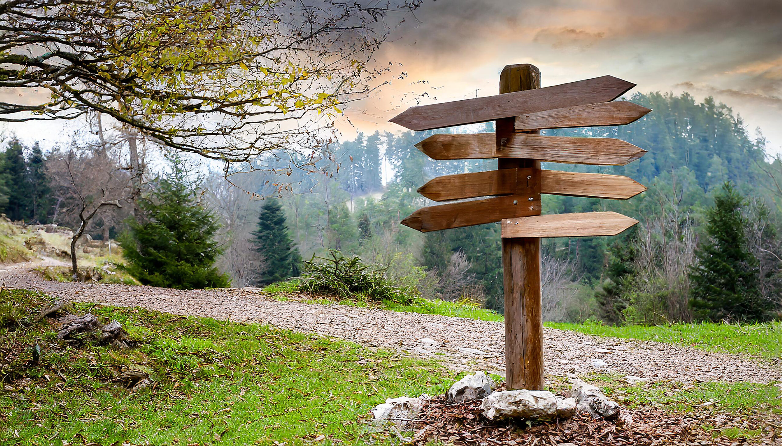 О трате энергии на сопротивление будущему и прошлому