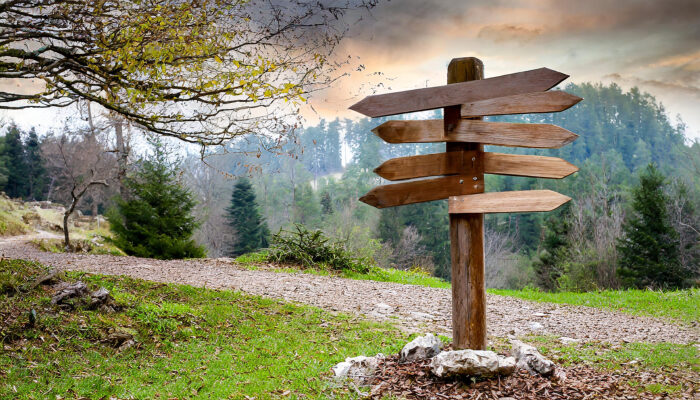 О трате энергии на сопротивление будущему и прошлому