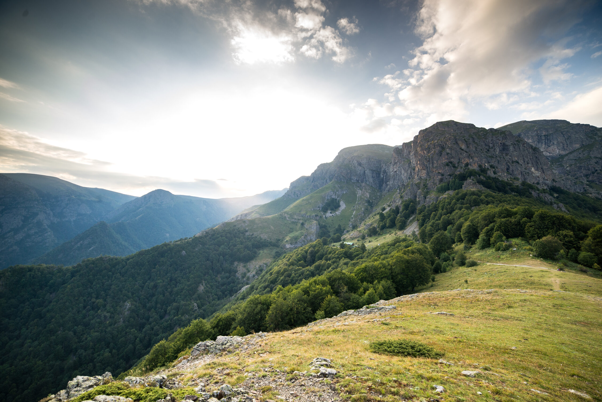 Об абсурдности старых ролей и привычек