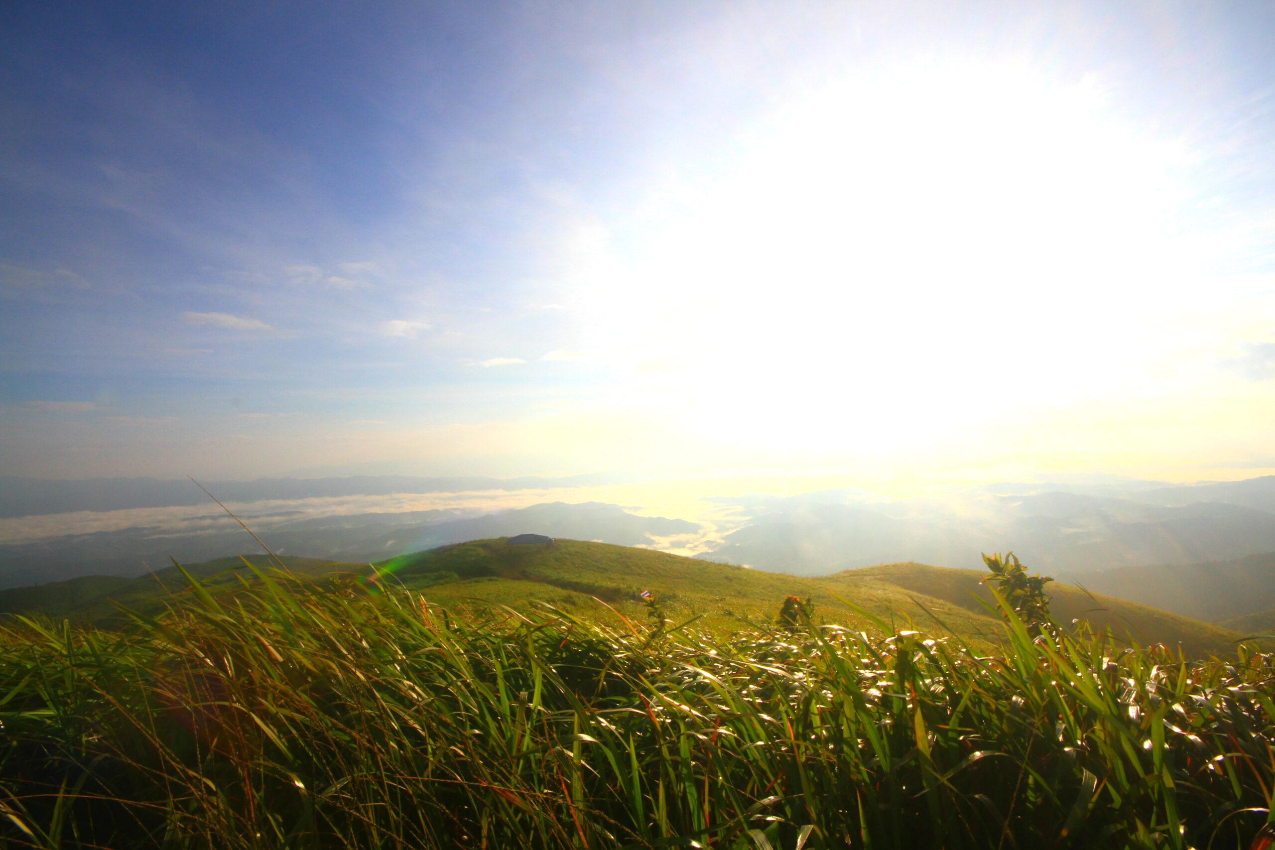 Об абсурдности старых ролей и привычек