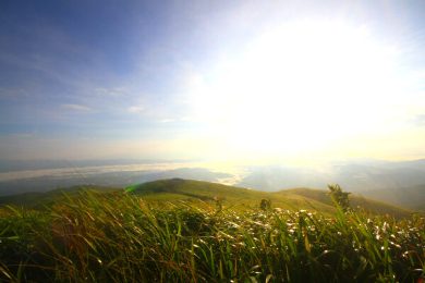 Об абсурдности старых ролей и привычек