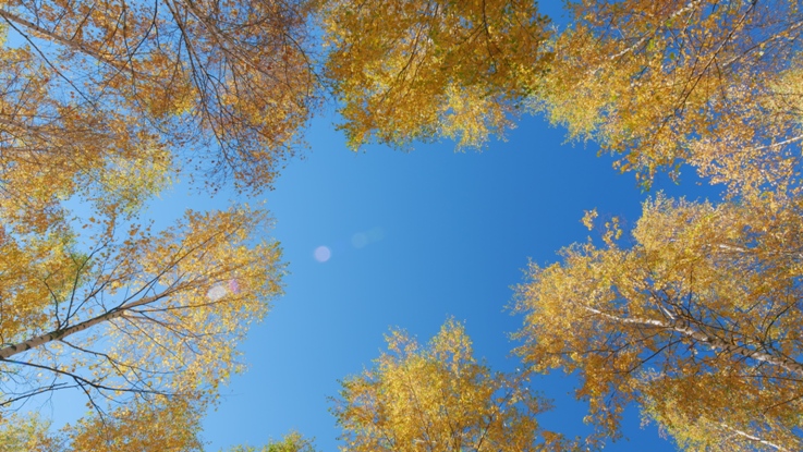 Что делать, если работа стала неинтересной?