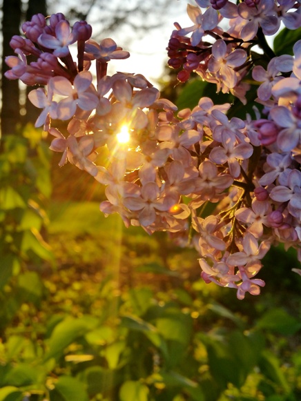 Качество энергии как наша основная валюта