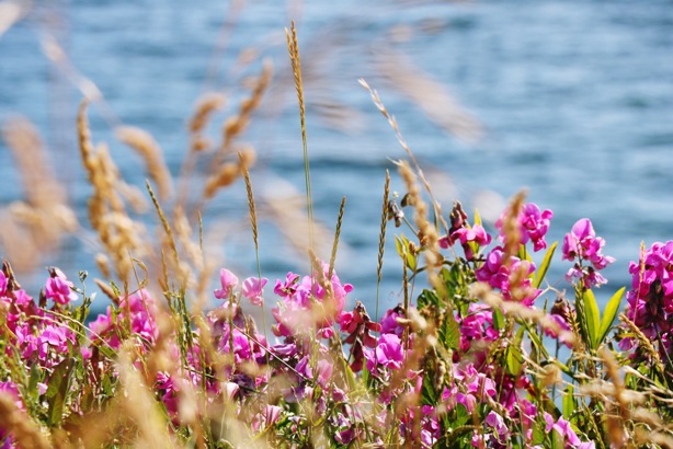 Качество энергии как наша основная валюта